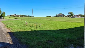 Expose Baugrundstück mit 963 m² in Sankt Pantaleon