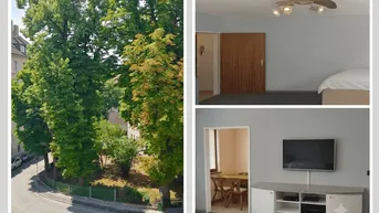 Panoramablick auf eine grüne Straße mit hohen Bäumen und umliegenden Gebäuden.