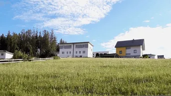 Weitläufige grüne Wiese mit mehreren Wohnhäusern und Wald im Hintergrund unter blauem Himmel.