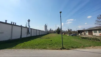 Blick über eine grüne Wiese mit einer langen Mauer und Industriegebäuden im Hintergrund unter blauem Himmel.
