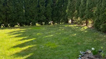 Gepflegter Gartenbereich mit Rasenfläche und hoher Hecke, ideal zum Entspannen im Freien.