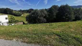 Grüne Hügellandschaft mit Bäumen und weitem Blick unter blauem Himmel.