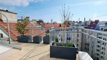 Geräumige Dachterrasse mit Stadtblick, bepflanzten Kübeln und Metallgeländer unter blauem Himmel.