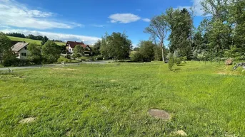 Weitläufige grüne Wiese mit Bäumen und Häusern im Hintergrund unter blauem Himmel.