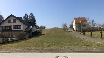 Weitläufiges Grundstück mit zwei Häusern und einer großen Grünfläche unter klarem Himmel.