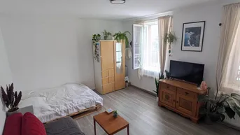 Helles Studio-Apartment mit Schlafbereich, Sofa und TV-Möbeln, ausgestattet mit modernem Laminatboden.