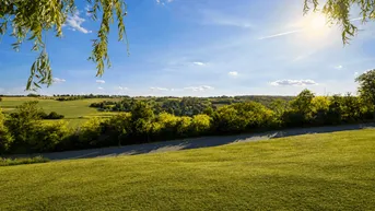 Sonnige Landschaft mit grünen Feldern und Bäumen unter blauem Himmel, umrahmt von Weidenzweigen.