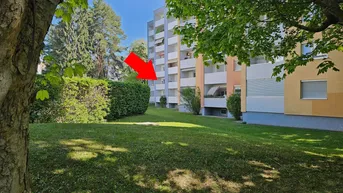 Mehrfamilienhaus mit grüner Rasenfläche und Bäumen im Vordergrund, ein Pfeil zeigt auf einen Eingang.