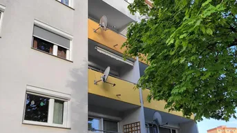 Mehrstöckiges Wohngebäude mit Balkonen und grünen Bäumen im Vordergrund.