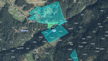Expose 9ha Waldfläche in Kaning