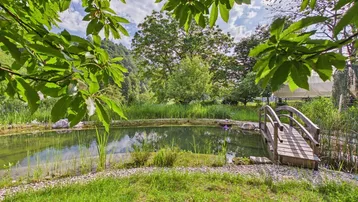 Idyllischer Gartenteich mit Holzbrücke, umgeben von grünen Bäumen und Pflanzen unter blauem Himmel.