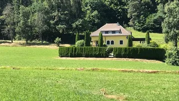 Gelbes Haus mit Satteldach, umgeben von grünen Wiesen, Hecken und Bäumen, vor einem Waldhintergrund.