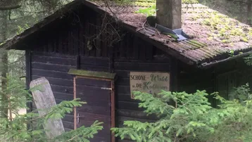 Kleine, rustikale Holzhütte im Wald mit moosbewachsenem Dach und Schornstein.