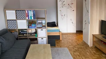 Gemütlicher Wohnbereich mit Sofa, Regal, Bett und Parkettboden, der auch als Schlafbereich dient.