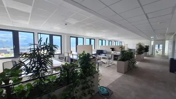 Großraumbüro mit modernen Arbeitsplätzen, vielen Pflanzen und weitem Blick auf die umliegende Landschaft.