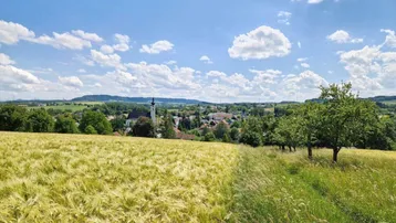 Weitläufige Landschaft mit Getreidefeld, grünen Wiesen und einem Dorf mit Kirchturm im Hintergrund.