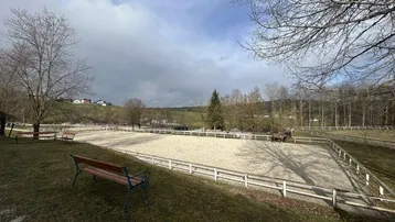 Großer Reitplatz mit Sandboden und Holzzaun, umgeben von Bäumen und einer ländlichen Landschaft.