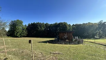 Kleiner Holzschuppen auf einer weiten Wiese, umgeben von Bäumen unter strahlend blauem Himmel.