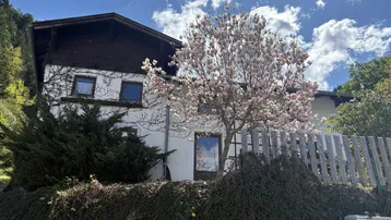 Fassade des Hauses mit einem großen, blühenden Magnolienbaum im Vordergrund.