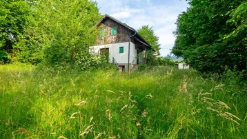 Ländliches Haus umgeben von üppigem Grün und hohem Gras, mit traditioneller Holzfassade.