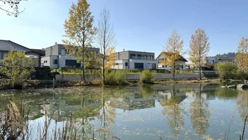 Moderne Häuser am Ufer eines Teiches mit herbstlicher Vegetation und klarem Himmel.