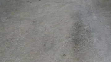 Expose Stellplatz, Tiefgaragenparkplatz zu vermieten. 