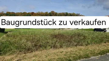Grünes Baugrundstück unter blauem Himmel mit Bäumen im Hintergrund, ideal für den Bau eines Eigenheims.