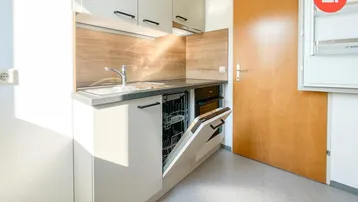 Moderne Küchenzeile mit Spülmaschine, Spüle und Holzrückwand in einem hellen Raum.