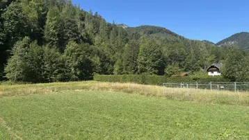Weitläufige grüne Wiese umgeben von dichtem Wald und Bergen, mit einem Haus in der Ferne.