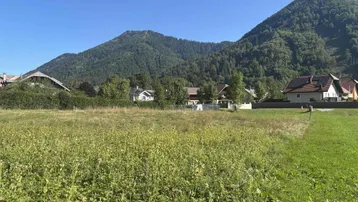 Weite grüne Wiese mit Häusern und bewaldeten Bergen im Hintergrund unter strahlend blauem Himmel.