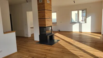 Helles Wohnzimmer mit modernem Kamin und hochwertigem Holzparkettboden.