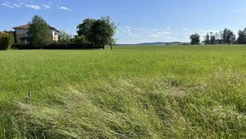 Weitläufige grüne Wiese mit einem Wohnhaus im Hintergrund unter blauem Himmel.