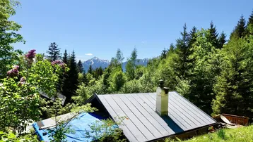 Dach eines Hauses mit Schornstein, umgeben von Wald und mit Blick auf ferne schneebedeckte Berge.