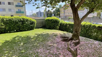 Gepflegte Grünfläche mit blühendem Baum und Wohngebäuden im Hintergrund an einem sonnigen Tag.