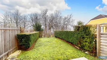 Gepflegter Gartenbereich mit Rasenfläche und hohen Hecken, umzäunt von einem Holzzaun.