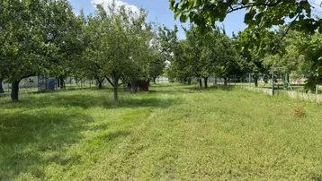 Großer Gartenbereich mit zahlreichen Obstbäumen und viel Grünfläche unter blauem Himmel.