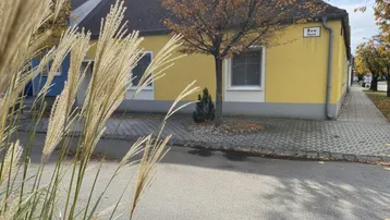 Gelbes Haus mit dunklem Dach und einem Baum davor an einer ruhigen Straße.