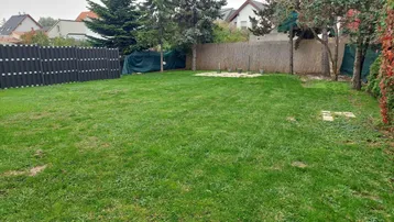 Großer, gepflegter Gartenbereich mit Rasenfläche und hohen Bäumen im Hintergrund.