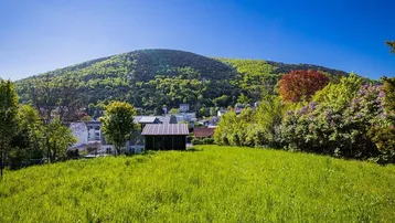 Grüne Wiese mit Blick auf bewaldeten Hügel und Siedlung im Hintergrund unter blauem Himmel.