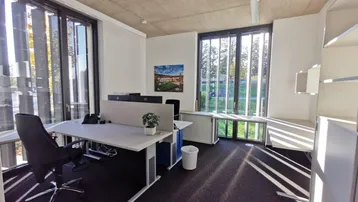 Modernes Büro mit mehreren Arbeitsplätzen, großen Fenstern und Teppichboden, bietet viel Tageslicht.