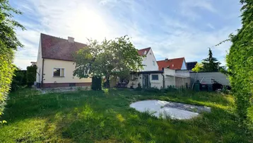Großer, sonniger Garten hinter dem Haus mit Rasenfläche und altem Baumbestand.