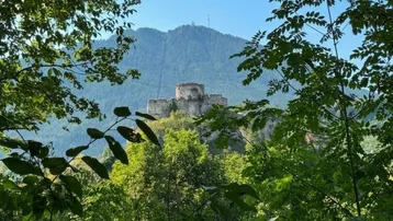 Malerischer Blick auf eine historische Burgruine, umgeben von dichtem Wald und Bergen.