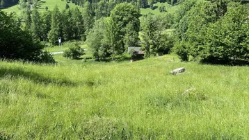 Weitläufige grüne Wiese mit Bäumen und einem kleinen Gebäude im Hintergrund, umgeben von einer bergigen Landschaft.