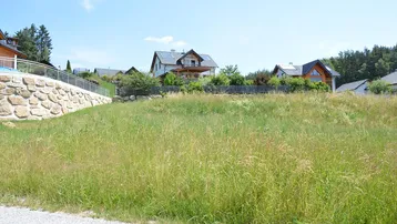 Weitläufiges, sonniges Grundstück mit hohem Gras und Blick auf umliegende Wohnhäuser in ländlicher Umgebung.