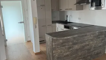Moderne Einbauküche mit Kücheninsel, integrierten Geräten und Holzboden in einem offenen Wohnbereich.
