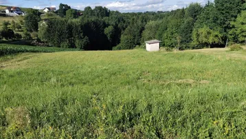 Weitläufiges grünes Feld mit Waldrand und einem kleinen Schuppen im Hintergrund unter blauem Himmel.