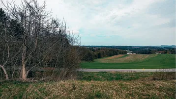 Weitläufige Landschaft mit grünen Feldern, Bäumen und einer Straße unter bewölktem Himmel.