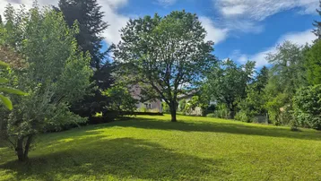Großer, gepflegter Garten mit weitläufiger Rasenfläche und altem Baumbestand unter blauem Himmel.