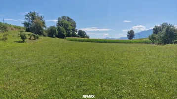 Weitläufige grüne Wiese mit Bäumen und Feldern im Hintergrund unter blauem Himmel.