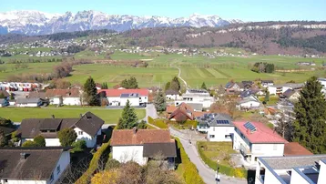 Luftaufnahme einer ländlichen Wohnsiedlung mit schneebedeckten Bergen im Hintergrund und grünen Feldern.